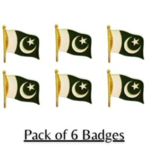 Pakistani Flag Set of 6 Metal 14th August Decor
